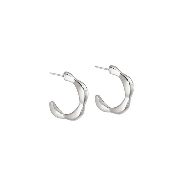 SMALL WILDFLOWER HOOPS - SILVER